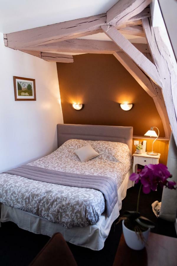 Hotel Henri IV Sully-sur-Loire Bagian luar foto